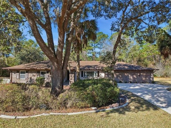 36 PINE DRIVE , HOMOSASSA, FL 34446