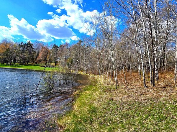 252 Sunridge Drive, Elmira, MI 49730