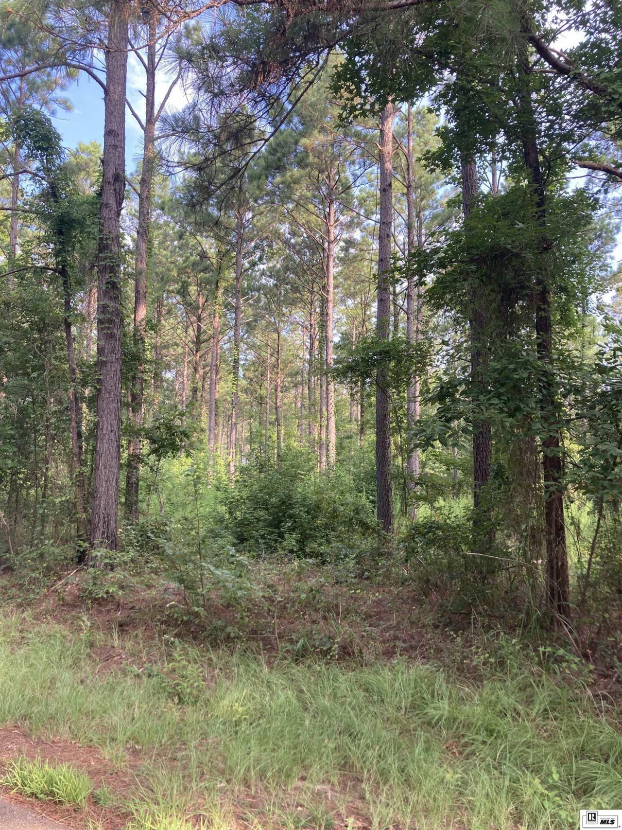 000 Oakley Road, Arcadia, LA 71001 Main Photo