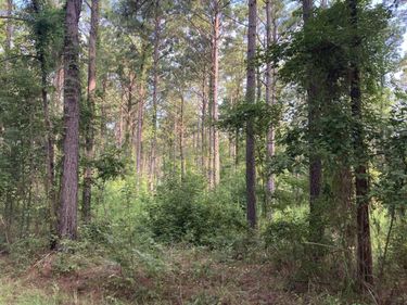 000 OAKLEY ROAD, Arcadia, LA 71001