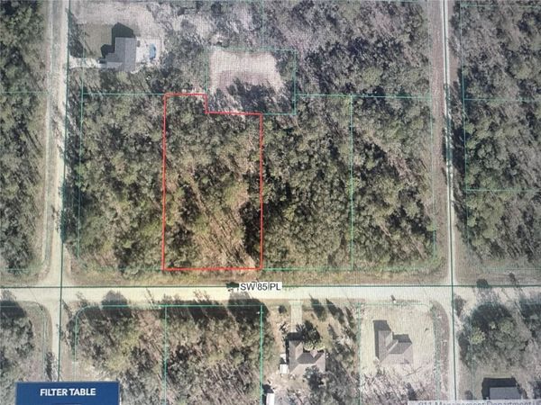 SW 85TH PLACE , DUNNELLON, FL 34432