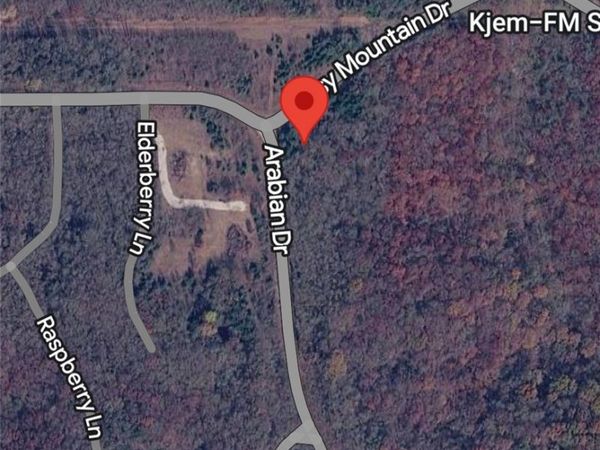Lot 313-314 Arabian , Rogers, AR 72756