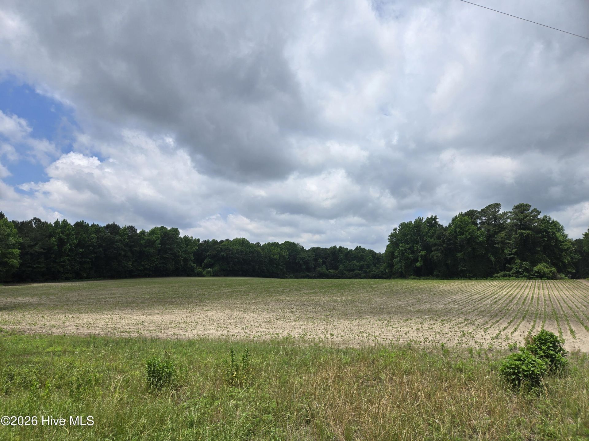 0 Ballard Road, Williamston, NC 27892 Main Photo