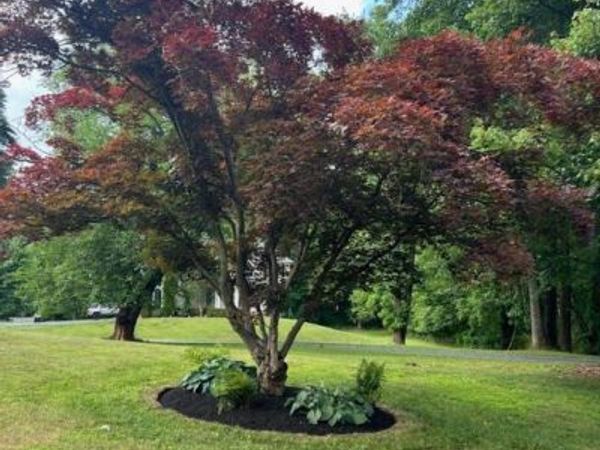500 LEAHY COURT , Unit 1L, FREDERICK, MD 21703