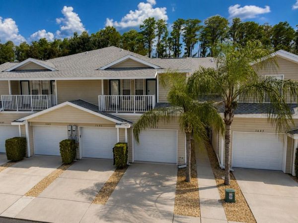 1651 HAMMOCKS AVENUE , LUTZ, FL 33549