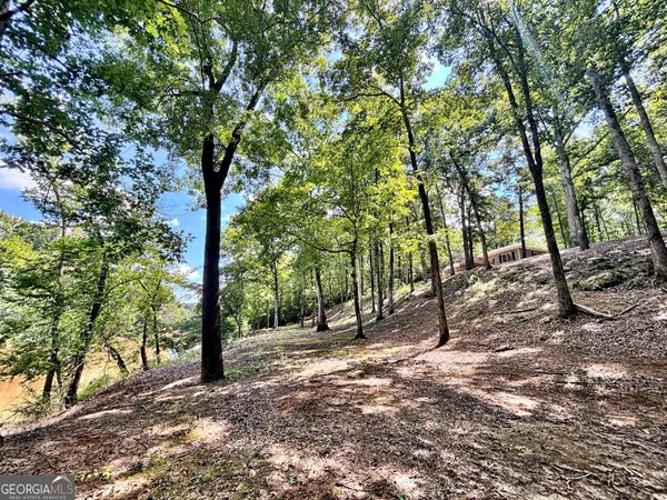 8502 S 19 HWY, Culloden, GA 31016