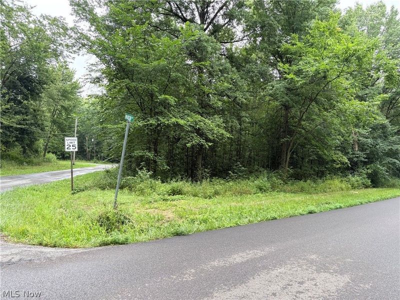 Bon Air Avenue NE, Alliance, OH 44601 Photo 1