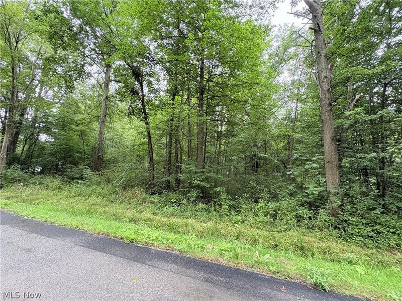 Bon Air Avenue NE, Alliance, OH 44601 Photo 3