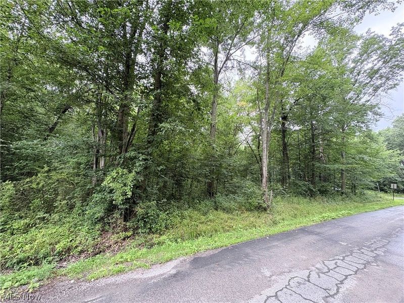 Bon Air Avenue NE, Alliance, OH 44601 Photo 4