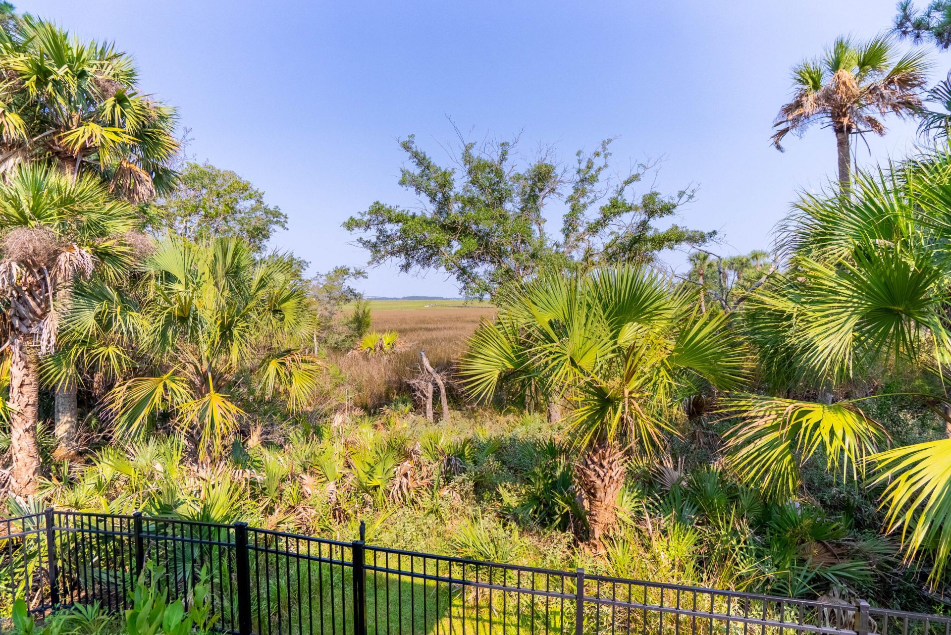 359 Kingston Lane Photo 29
