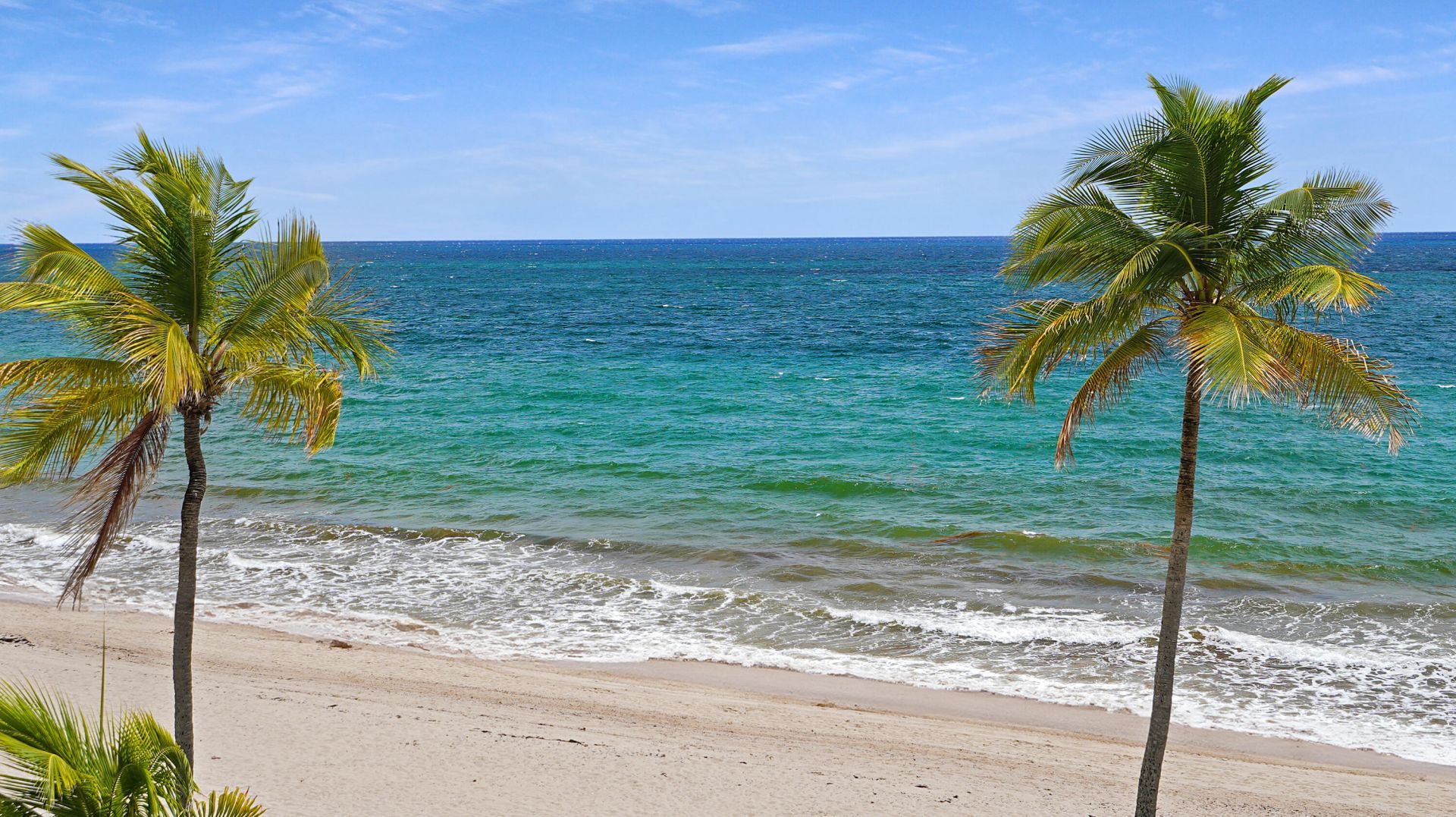 3430 Galt Ocean Drive, Unit 407, Fort Lauderdale, FL 33308 Photo