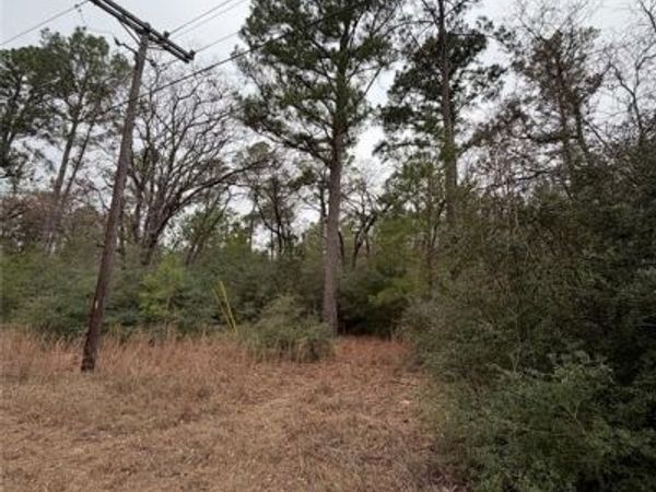 0000 Makaha DR, Bastrop, TX 78602