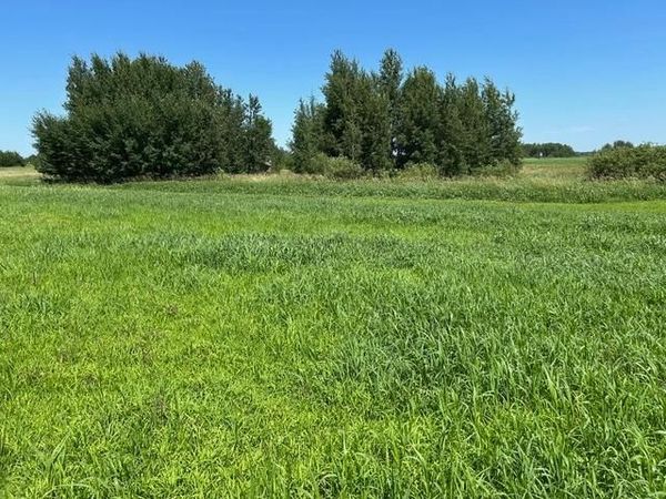 TBD 210th Street , Glenwood, MN 56334