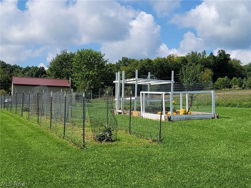 41725 Mount Hope Road, Flushing, OH 43977 Photo 8