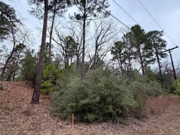 000 Makaha DR, Bastrop, TX 78602
