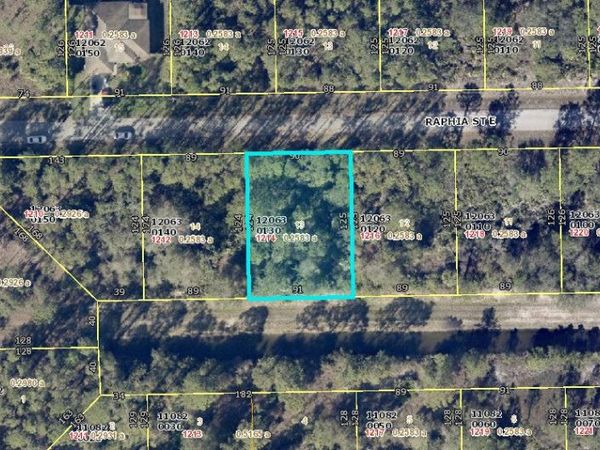 1214 Raphia Street E, Lehigh Acres, FL 33974