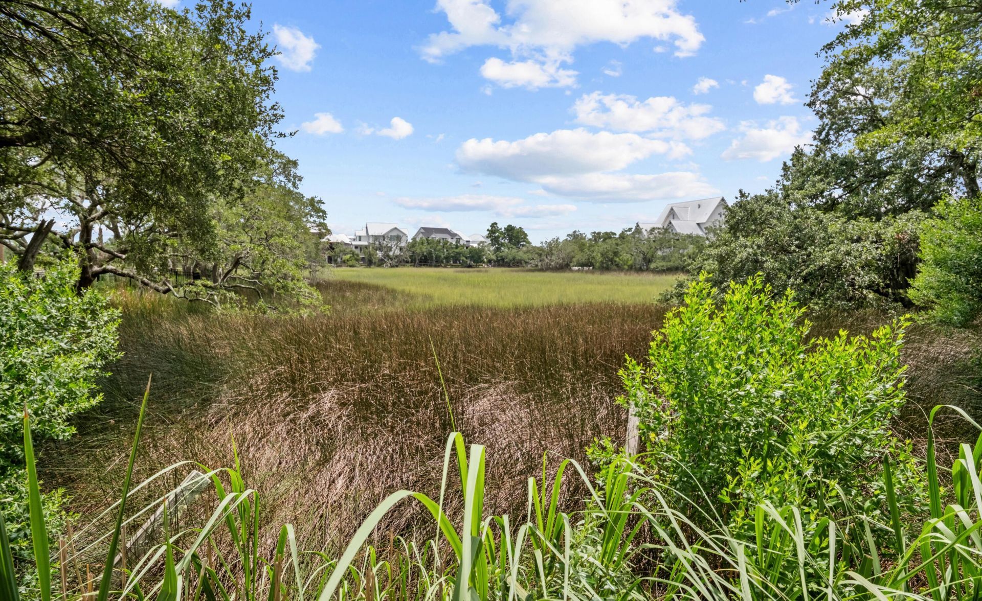 1555 Wando Landing Street Photo 65