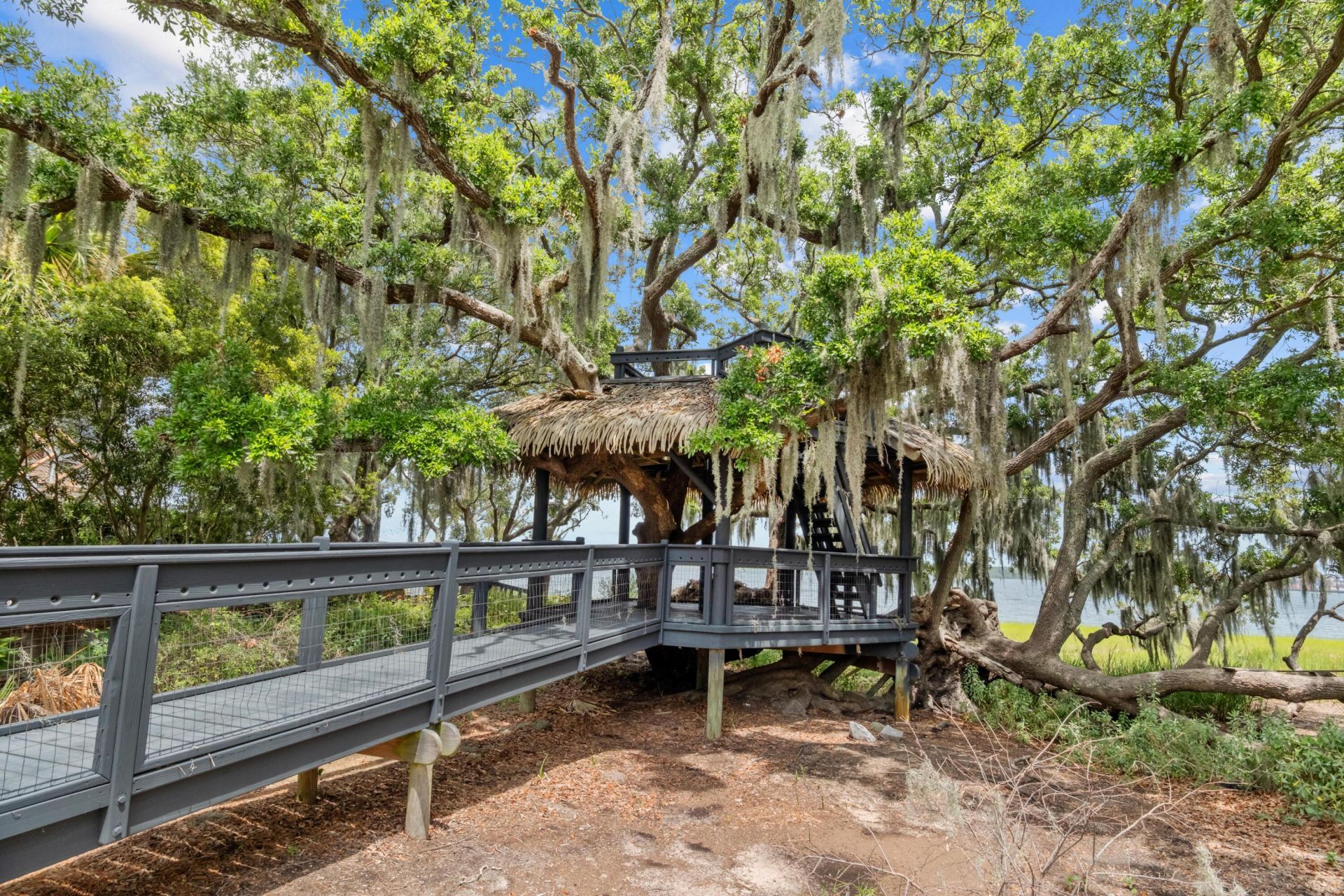 1555 Wando Landing Street Photo 93