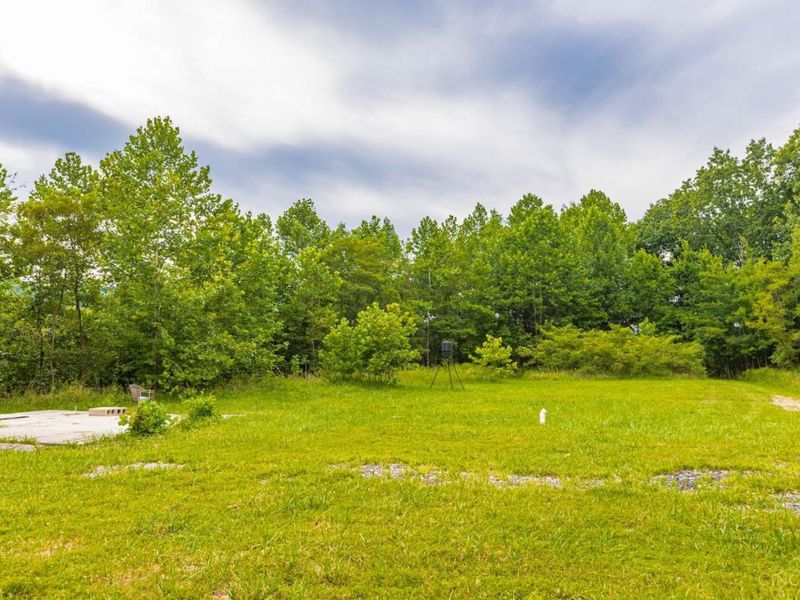 6560 Mt Unger Road, Otway, OH 45657 Photo 18