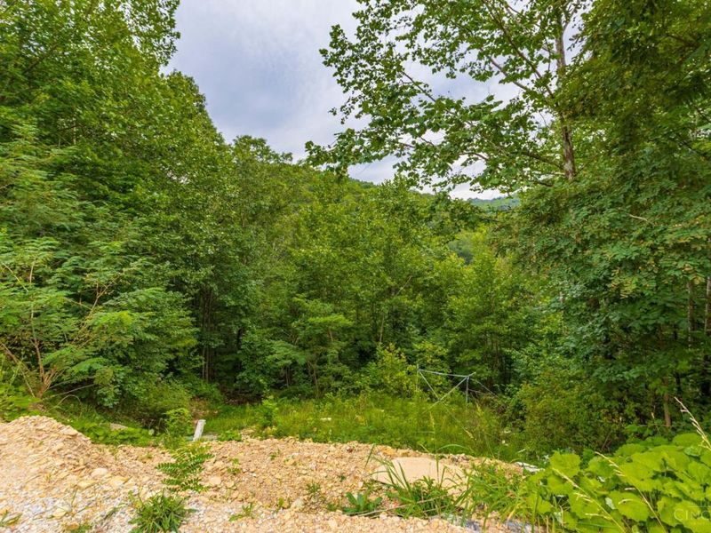 6560 Mt Unger Road, Otway, OH 45657 Photo 20