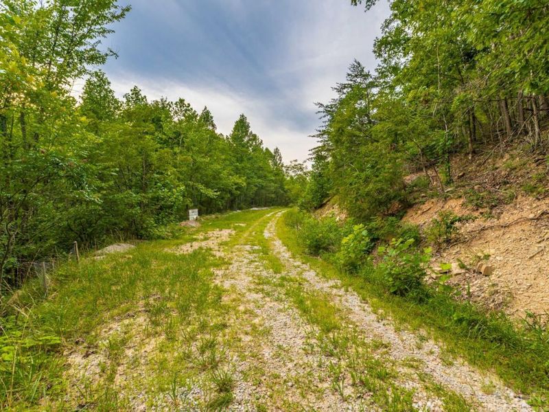 6560 Mt Unger Road, Otway, OH 45657 Photo 44