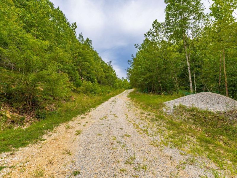 6560 Mt Unger Road, Otway, OH 45657 Photo 45