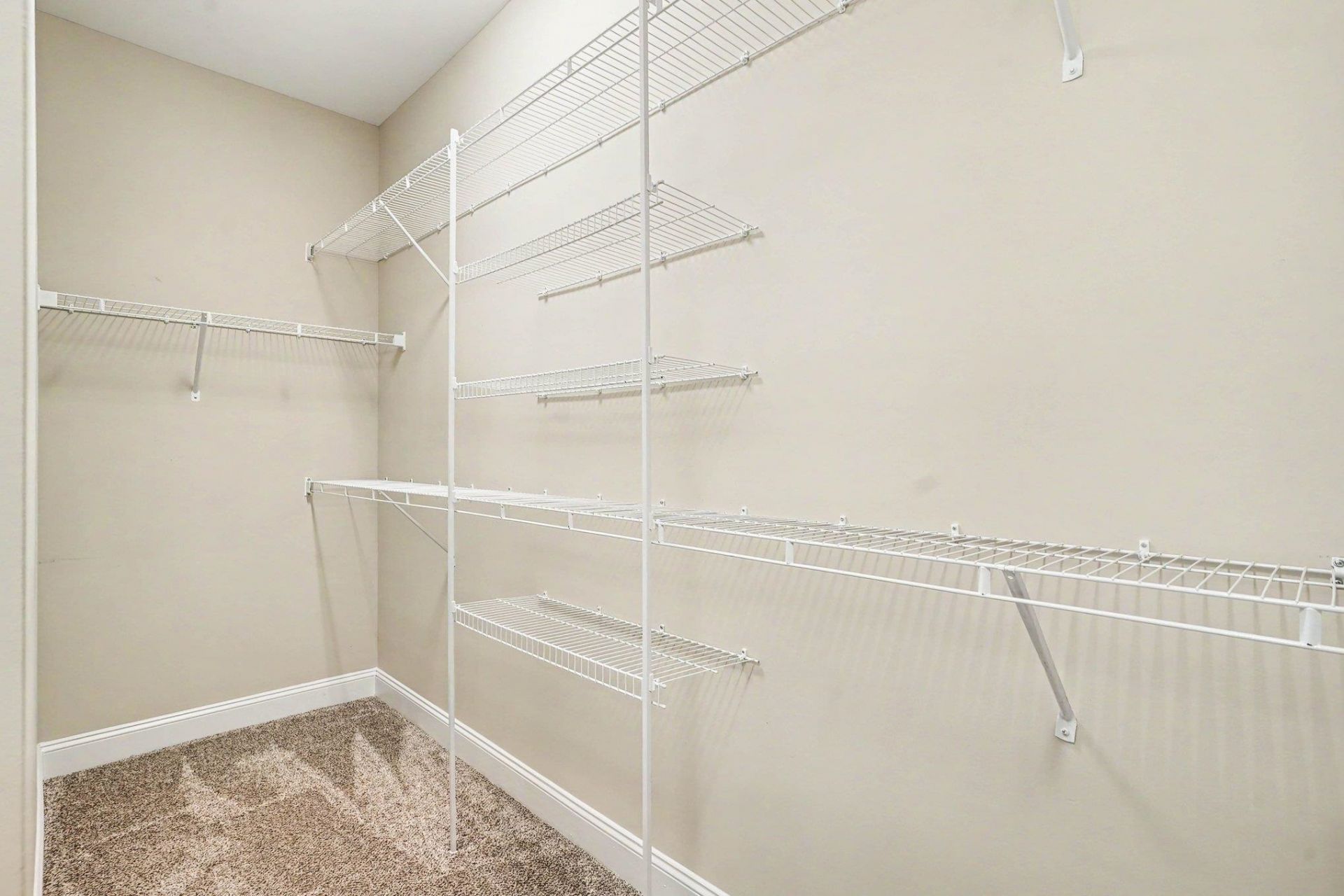 168 Baylee Circle Photo 19