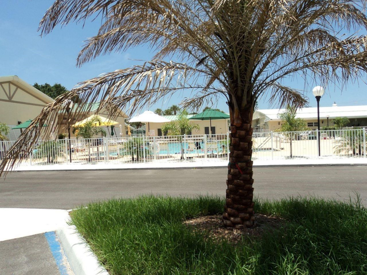 804 Turf , Venice, FL 34285 Photo