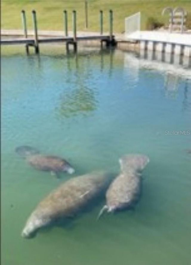 804 Turf , Venice, FL 34285 Photo