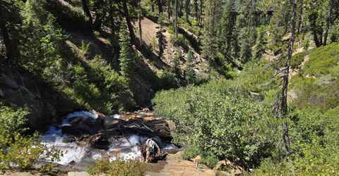 0000 Kidd Lakes Kidd Lakes Road, Soda Springs, CA 95728 Photo
