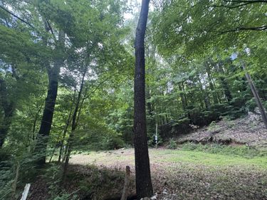 7113 Linton Road, Cadiz, KY 42211