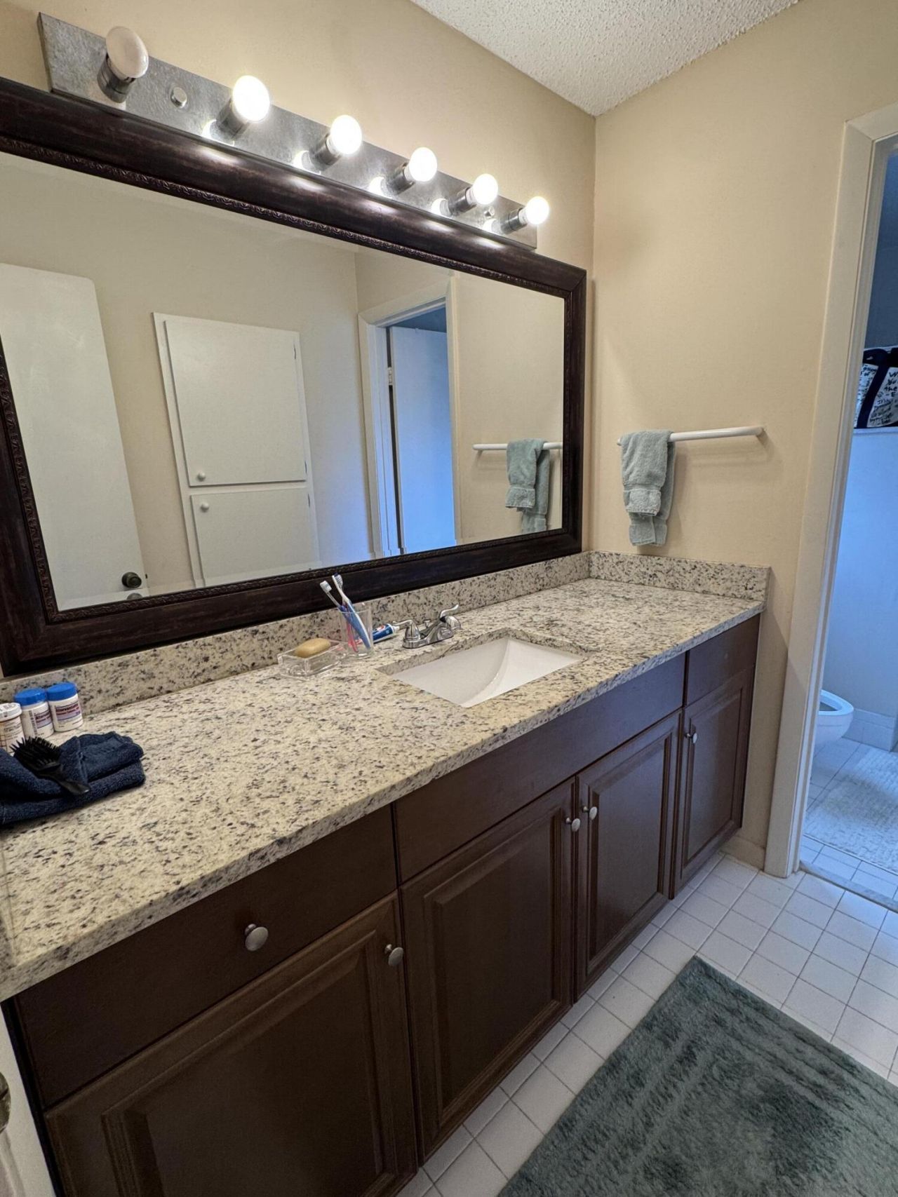 11894 Suellen Circle, Wellington, FL 33414 Photo