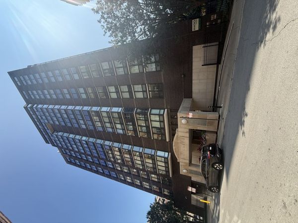 21 W Goethe Street, Unit 17H, Chicago, IL 60610
