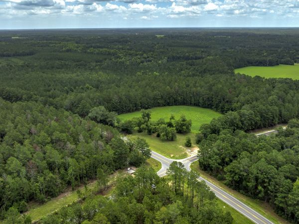 0 GA Highway 169, Claxton, GA 30417