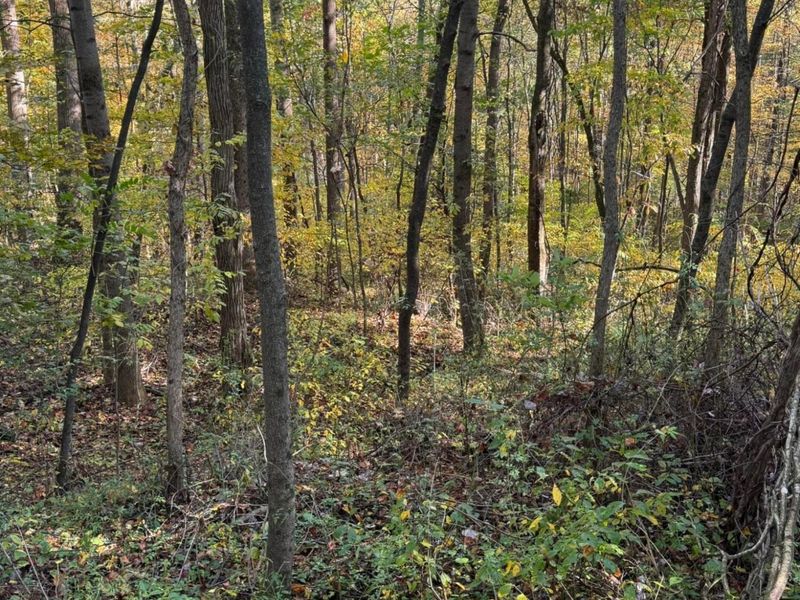 9600 Larimer Road, Logan, OH 43138 Photo 55