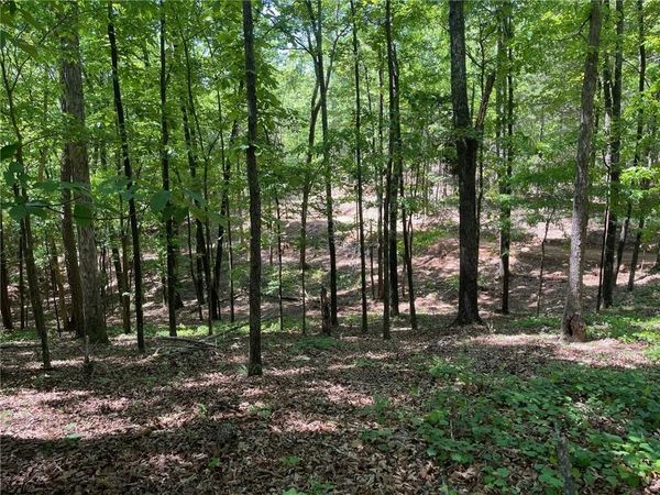 TR 3 Chalcrest Way , Cave Spring, GA 30124