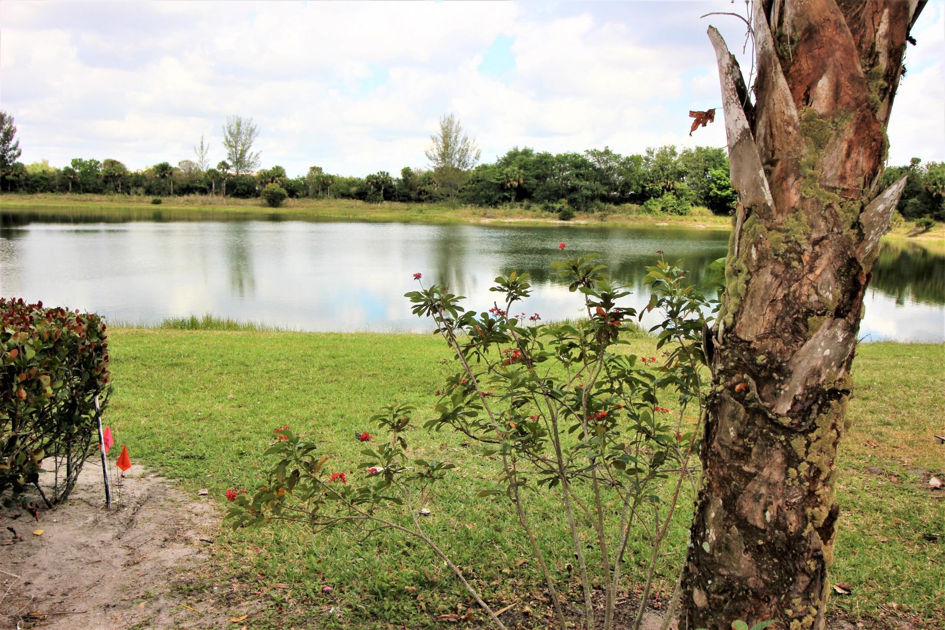 1145 Golden Lakes Boulevard, Unit 716, West Palm Beach, FL 33411 Photo