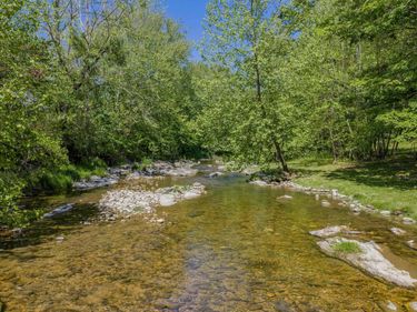 53 & 13 SIDING LN, VESUVIUS, VA 24483