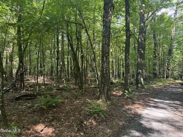 1338 River Road, North Creek, NY 12853