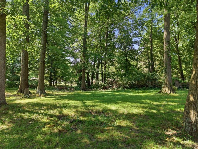 1167 Greens Farm Road, Pierce Twp, OH 45102 Photo 10