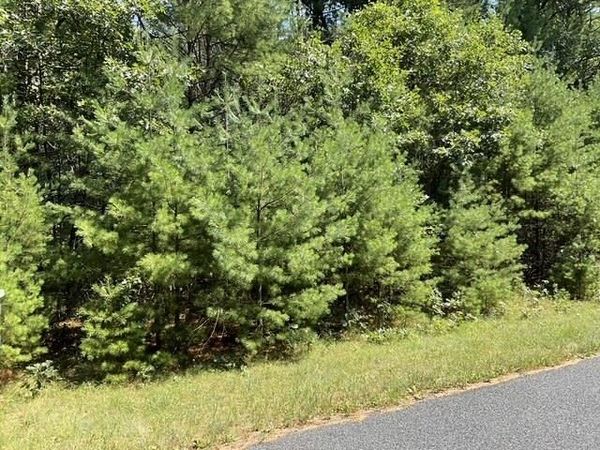 Parcel 18th Avenue, Arkdale, WI 54613