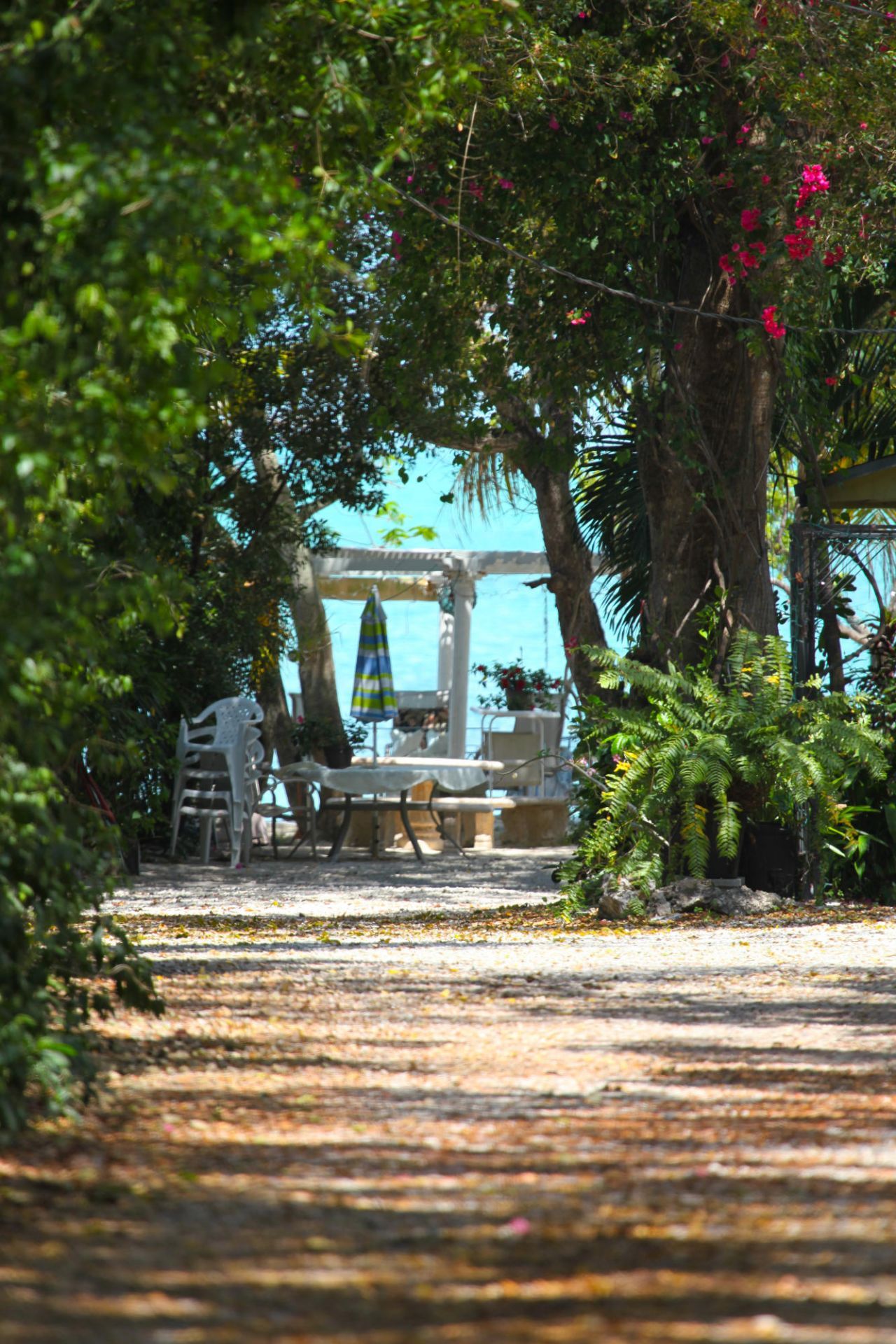 95480 & 90 Overseas Highway, Key Largo, FL 33037 Photo