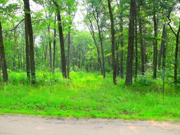 38970 Odin Court , Browerville, MN 56438
