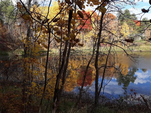 39902 Oriole Court , Browerville, MN 56438