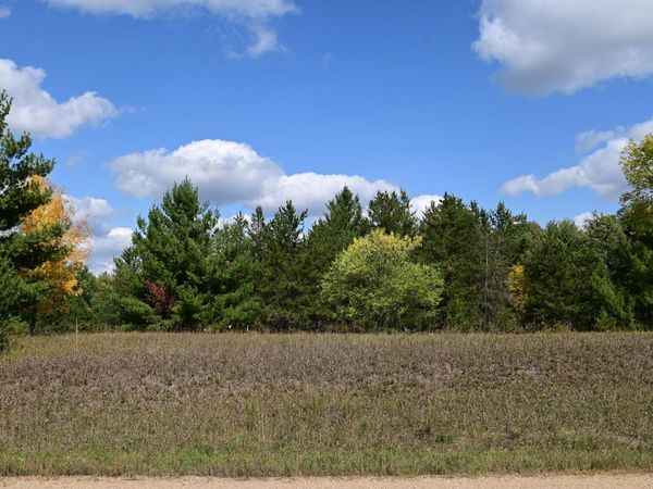 TBD Oak Drive , Browerville, MN 56438