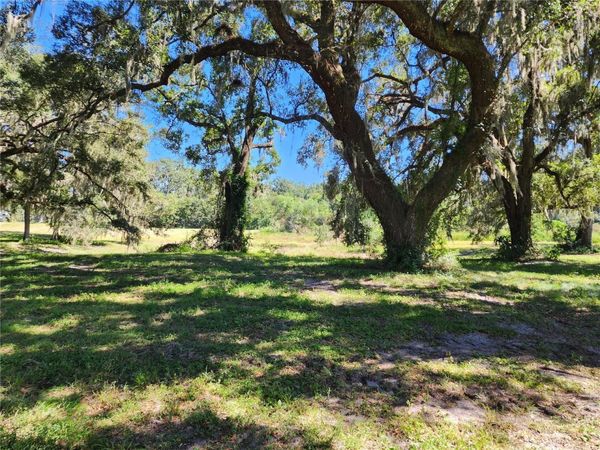 7670 NW 137TH AVENUE , MORRISTON, FL 32668