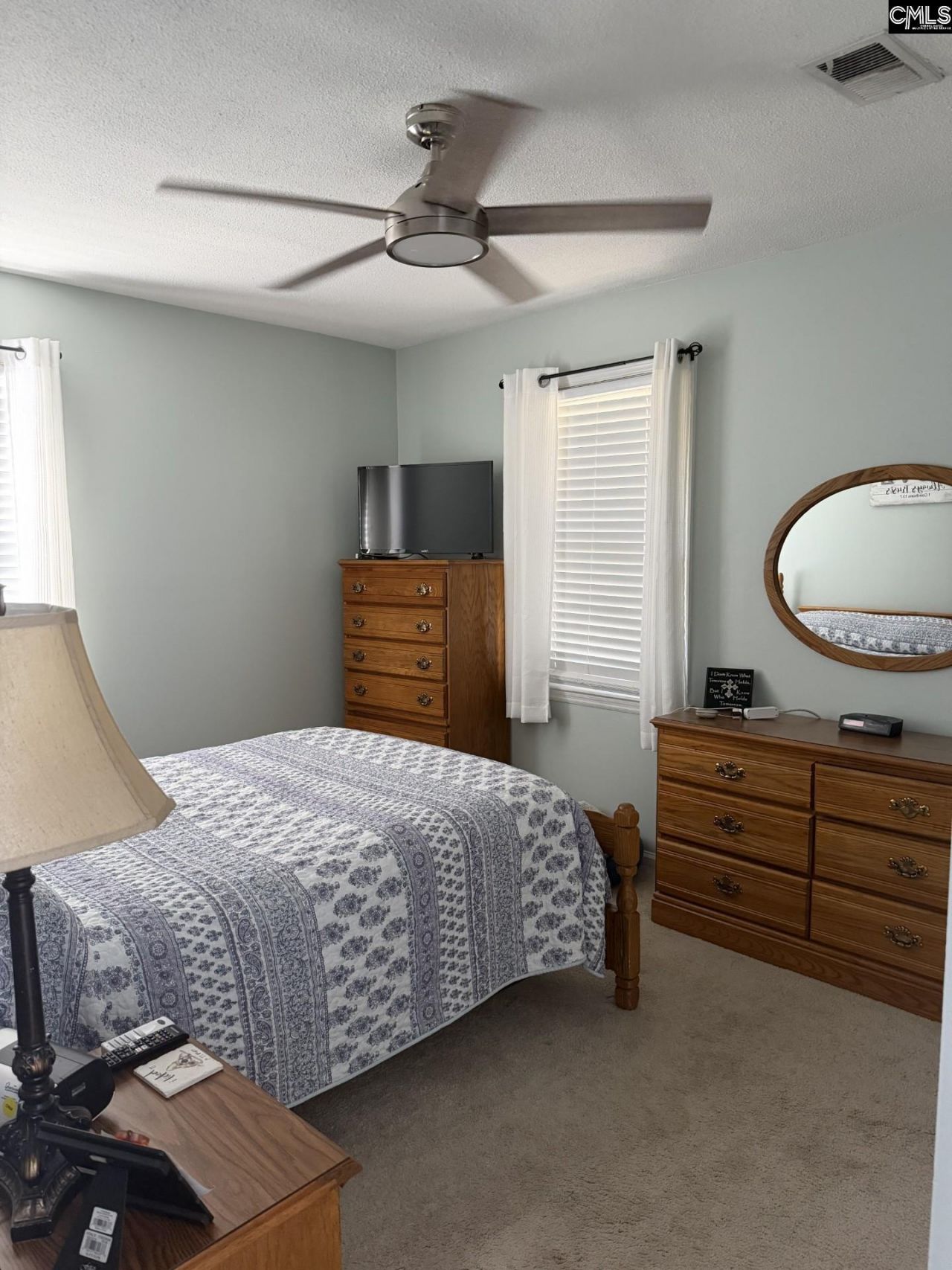 156 Lisa Drive  Photo 19