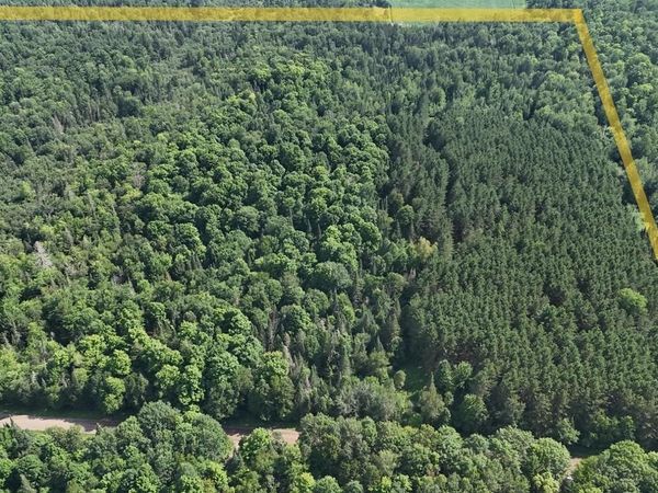 40 Ac SUNRISE ROAD, Merrill, WI 54452