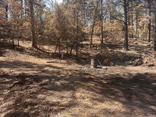 9087 S Pine Dr, Beulah, CO 81023