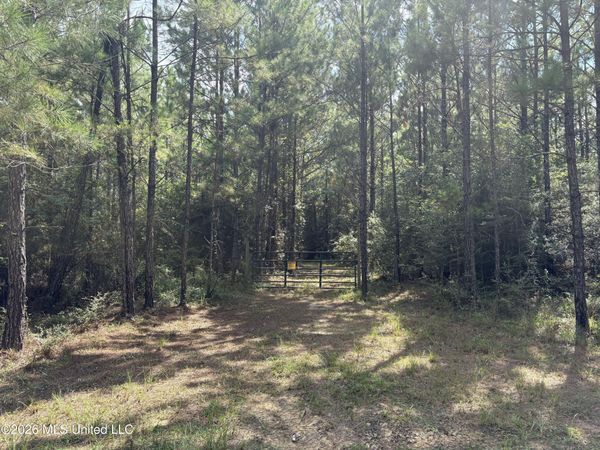 259 Forest Lake Road, Beaumont, MS 39423